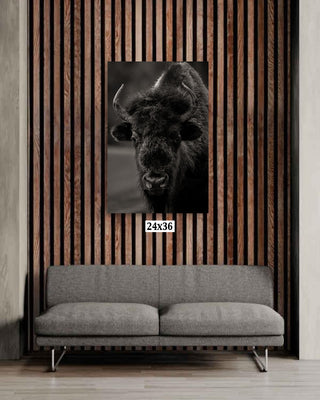 Bison