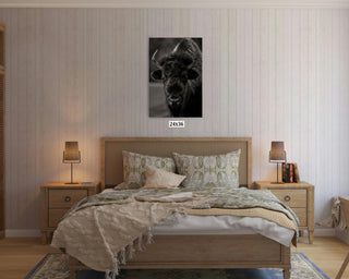 Bison
