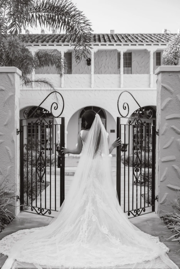 Wedding Portfolio