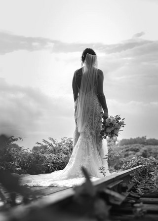 Wedding Portfolio