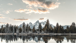 Peaks and Echos