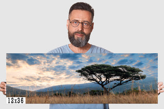 African Sunset