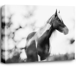 Patiently Waiting - Black and White