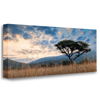 African Sunset