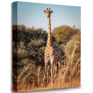 Flower Rose Sprinkles - African Giraffe