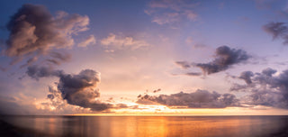 Another Day Gone By
