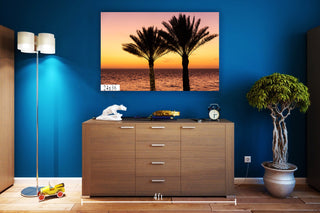 Twin Palms