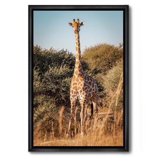 Flower Rose Sprinkles - African Giraffe
