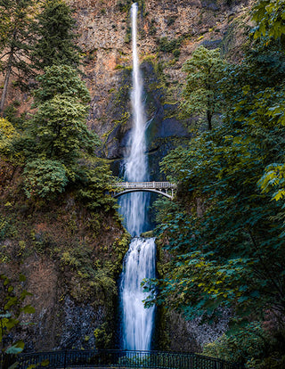 Beauty and Wonder
