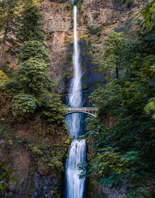 Beauty and Wonder