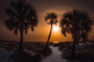 Essence of Florida