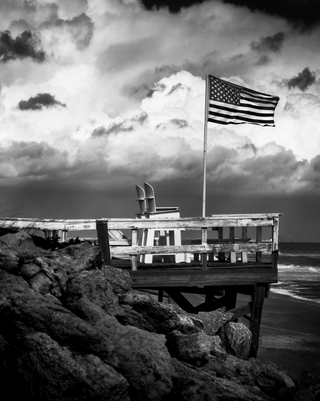 Freedom
