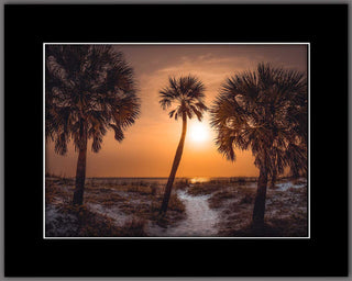 Essence of Florida