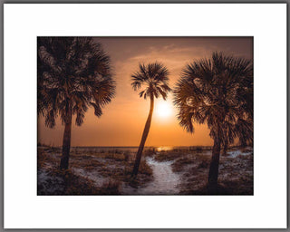 Essence of Florida
