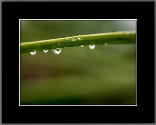 Droplets