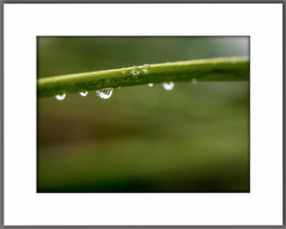 Droplets