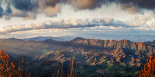 Sun Light Ridge